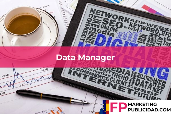 Data Manager