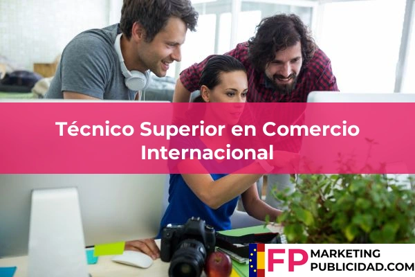 Técnico Superior en Comercio Internacional